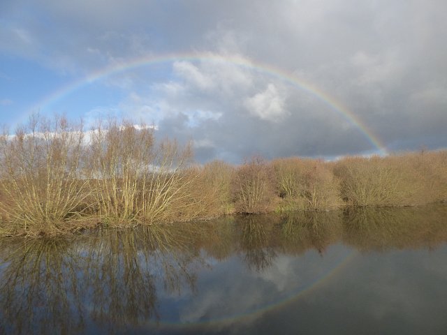 image of a river bank with a rainbow in the background