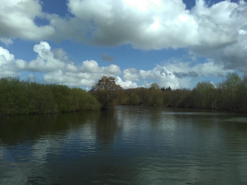 river bank lined with trees