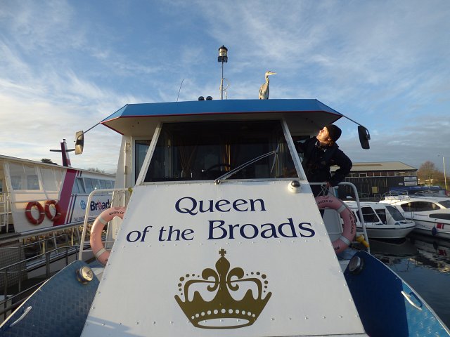 heron standing on the top of queen of the broads passenger boat