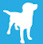 dog icon