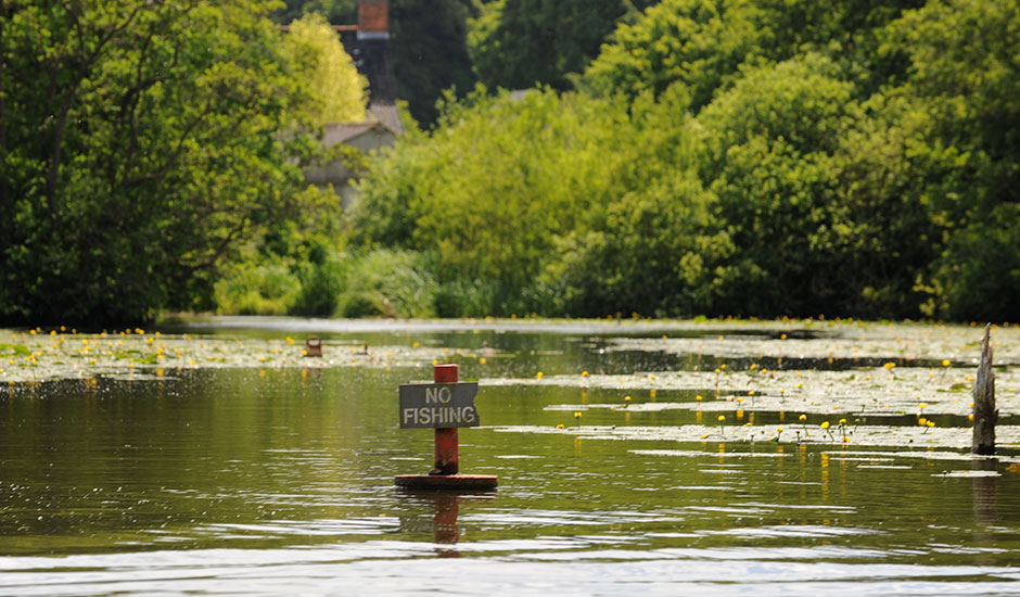 Norfolk Broads River Trips