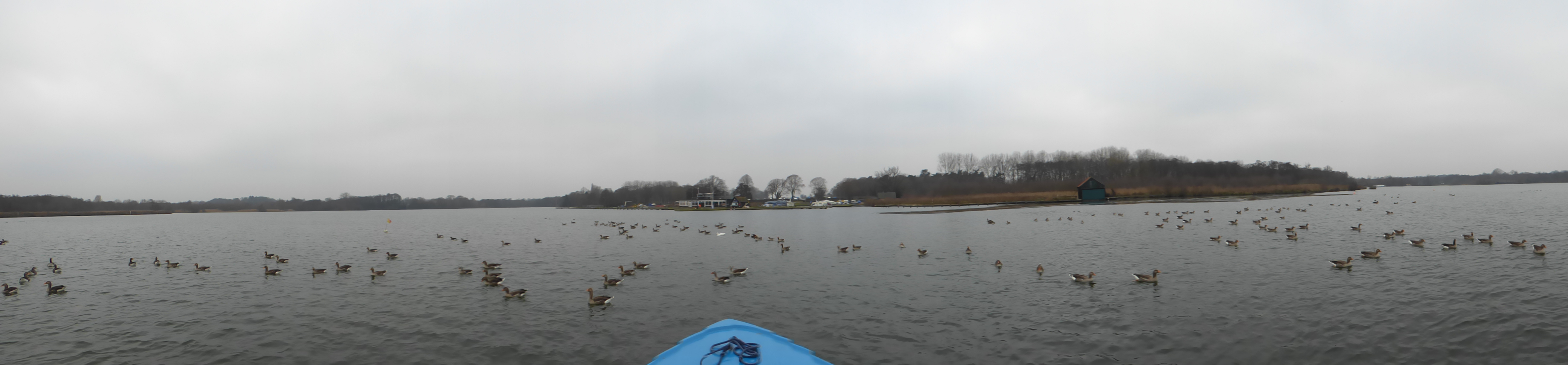 panoramic of dull norfolk broads