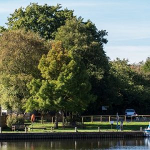 norfolk broads park