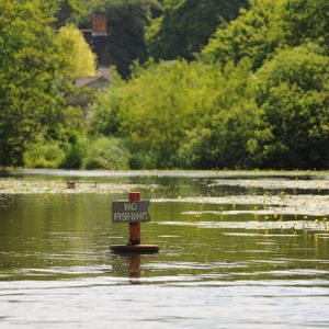 fishing norfolk broads