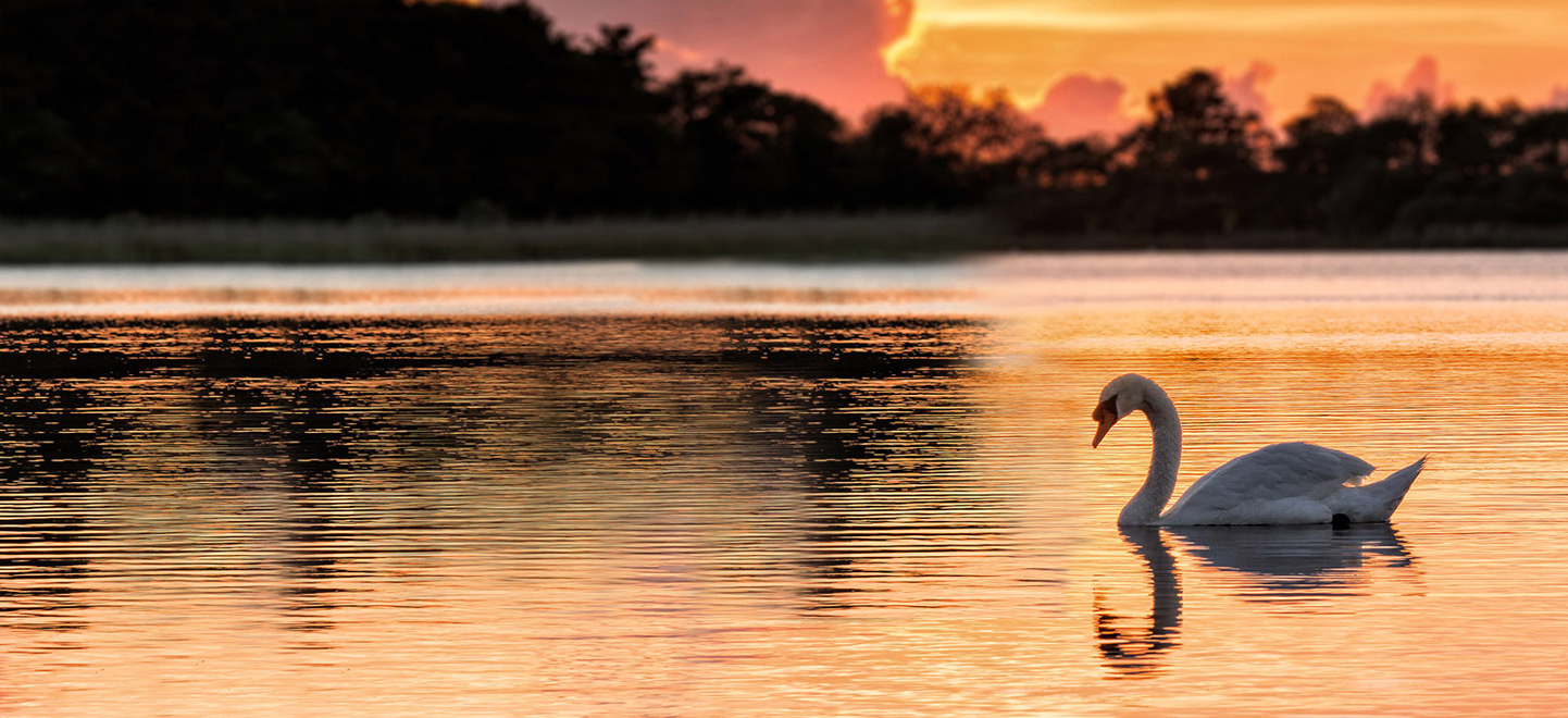 Your award winning gateway to the Norfolk Broads