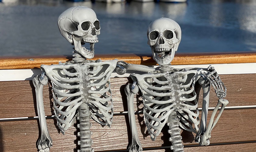 Skeletons enjoying a river trip