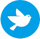 bird icon