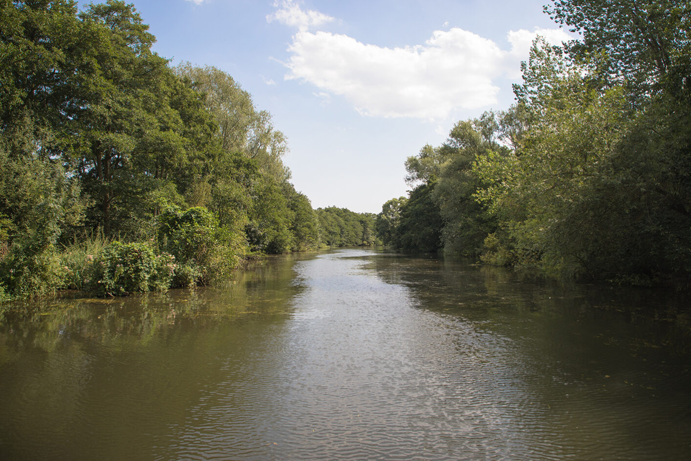 Entrance to Hoveton Little Broad on the River Bure, The Broads,